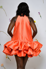 DELPHI HALTERNECK DRESS IN CORAL
