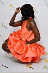 DELPHI HALTERNECK DRESS IN CORAL
