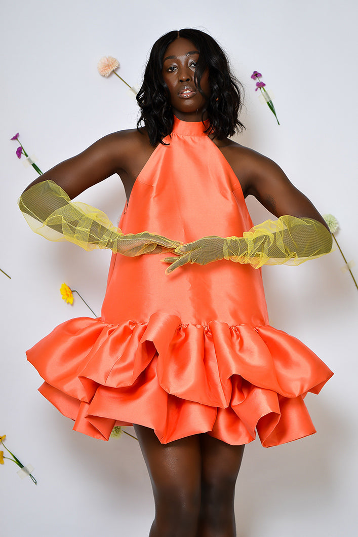 DELPHI HALTERNECK DRESS IN CORAL